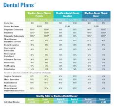 Use our guide to learn about the types of dental plans, coverage and cost. Bluecare Dental Classic For Individuals And Bluecare Vision Insure With Integrity