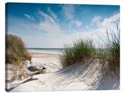 Ihr erhaltet alle unsere motive in. Leinwandbilder Mit Nordsee Motiven Bestellen Posterlounge De