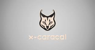 Caracals are the heaviest and also the fastest of the small cats and are the largest of the small cats in africa. X Caracal Call Center Monitoring Und Auswertung
