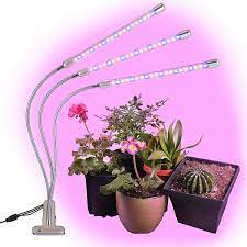 Many people tend to get it twisted between regular led lights and led grow lights as far as they role they play in the growth of indoor plants is concerned. How Do Led Grow Lights Work South Africa Today