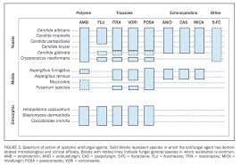 Antimicrobials Spectrum Of Activity Foamid