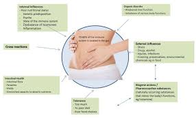 Inflammatory Symptoms Immune System And Food Intolerance