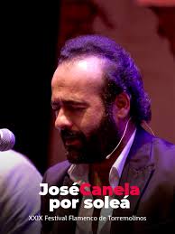 Prime Video: José Canela por soleá. XXIX Festival Flamenco de Torremolinos