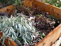 Composting Ply I Added Russian Olive Leaves And Small Branches The Tree Produces Nitrogen So Way Not Add To The Composter Compost Composter Olive Leaf