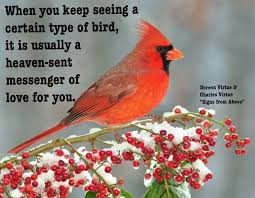 When You Keep Seeing A Certain Type Of Bird It Is Usually A Heaven Sent Messenger Of Love For You Descripti Bird Quotes Cardinal Birds Cardinal Birds Meaning
