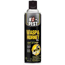 Well, you can run inside and abandon the outdoors all you need is the right pest control solution for your peculiar situation. Chemsico Inc No Pest Wasp Hornet Killer Aerosol 14 Oz Reviews 2021