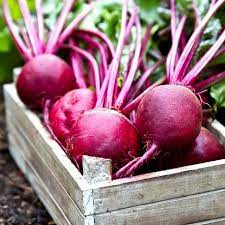 Ruby Queen Beet Seeds 4 Oz Non Gmo Heirloom Vegetable Garden Root Crop Microgreens Canning Pickling Walmart Com Beets Beet Seeds Heirloom Vegetables