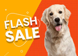 The pet store is now brought to you where you are, you can use any gadget that is able to access the internet and buy any animal you want and own it legally. Best Pet Puppy Shop In Delhi Ncr Puppies For Sale Dav Pet Lovers
