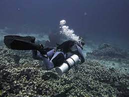 However, you have to be 16 to dive there at all. Solo Diving Insider Why And How To Dive Alone Two Fish Divers