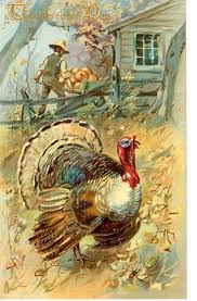 Thanksgiving greetings 1906 postcards (package of. Vintage Thanksgiving Postcard Thanksgiving Art Vintage Thanksgiving Cards Thanksgiving Images
