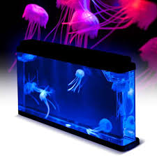 The desktop jellyfish tank and starter kit. Fake Neon Jellyfish Tank Gadget Magic Pet Jelly Fish For Sale Uk Jellyfish Tank Jellyfish Aquarium Fish Pet Tanks