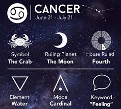 You're a very good catch, cancer, and that's made it hard in the past to find a perfect the 2020 year of the rat is still going to find that process is hard for you, but at least you'll be able to do so a little bit smarter. Cancer Horoscope 2020 Major Life Changes This Year Yve Style Com