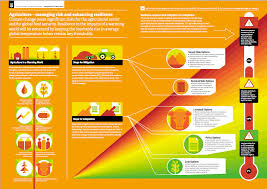 Available to download, this infographic covers the science behind earth's carbon cycle and what's changing. What Does Climate Adaptation Actually Look Like Check Out This Awesome New Infographic Series From Cambridge Desmog