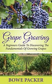 Selecting the right planting site can make growing backyard grapes a lot easier. Grape Growing A Beginners Guide To Discovering The Fundamentals Of Growing Grapes English Edition Ebook Packer Bowe Amazon De Kindle Shop