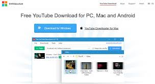 Best Youtube To Mp4 Converters To Download Videos Vlogger Gear