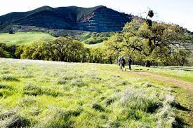 Mount Diablo Hiking Trails An Insider's Guide To Mount Diablo: Hike, Bike & Camp At Mount Diablo -  Visit Concord