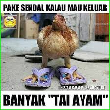 Meme Eek Ayam Gambar Ayam Pake Pakai Sendal Gambar Ayam Dan Kata Lucu Gambar Ayam Lucu Com Gambar Dp Lucu Ayam Gambar Lucu Ceke Gambar Lucu Lucu Foto Lucu