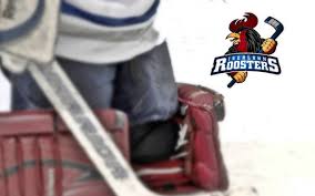 Alle spiele der del live bei magentasport:07.01.2020, 6. Eishockey Mit Den Iserlohn Roosters Radio Mk