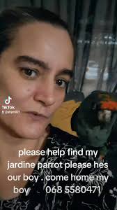 Lost Jardine parrot, please help find?
