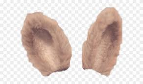 10000+ vectors, stock photos & psd files. Chocolate Bunny Ears Tan Hd Png Download 601x416 6036459 Pngfind