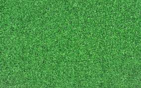 There are a variety of grass carpet backings used to help these carpets hold up outdoors. Commercial Carpet Pics Blue Green Preview Other Resolution Fullscreen Widescreen Mobile Apple Resize Grass Carpet Artificial Grass Carpet Grass Wallpaper