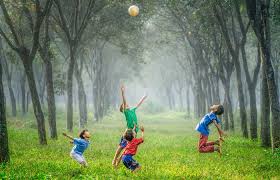 Además, pequeños cambios en el reglamento permitirán adaptarlo a todas las clases. Juegos De Pelota Para Pasarlo En Grande En El Parque