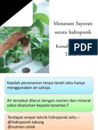 Maybe you would like to learn more about one of these? Tanaman Sayuran Tahun 6 Pdf