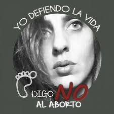 Kalanchoe luciae 'Fantastic' Es una planta fácil de cultivar, que crece  bien con sol indirecto o poco sol. No resiste las heladas. Período de  actividad desde otoño hasta la primavera. A medida