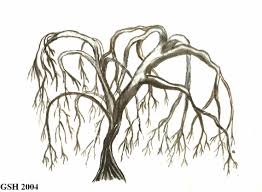 Check spelling or type a new query. Quotes About Weeping Willows 39 Quotes