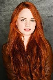 Hudson & Rex Season 2