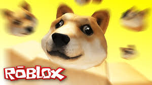Doge kennels wow very efficiency, entire kennels to mine dogecoin. Roblox Adventures Doge Research Tycoon Building My Own Doge Factory Youtube