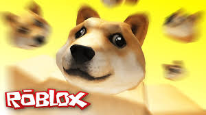 Anime distributor of china supply anime merchandise. Roblox Adventures Doge Research Tycoon Building My Own Doge Factory Youtube