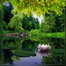 Dreamies De 30m2ir91tzw Gif Bilder Japanischer Garten Natur