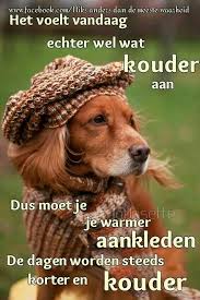 Pin Op Goedemorgen