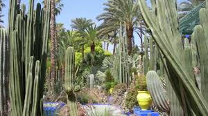 A 1960s riad turned into a magical oasis of freshness in the heart of the medina: Botanischer Garten In Marrakesch Youtube