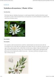 Image result for Xylotheca tettensis