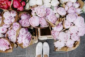 Leagel fake flowers vintage artificial peony silk flowers bouquet wedding home decoration, pack of 1 (spring white). Planting Peonies In Your Yard Could Attract Ants Why You Shouldn T Plant Peonies