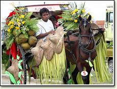 	Lanzones Festival	