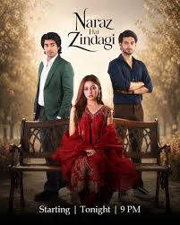 Naraz Hai Zindagi