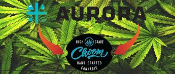 Breaking Down The Aurora Cannabis Acb Investment Portfolio