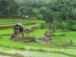 Yang satu ini tidak kalah unik dan menariknya dengan lukisan lainnya. Gambar Pemandangan Kampung Yang Indah Gambar Viral Hd