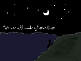 Stardust Quotes Quotesgram