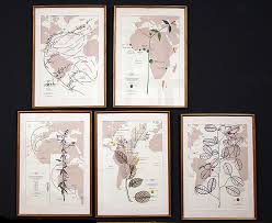 Bildergebnis für Liliana Angulo