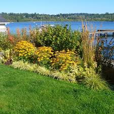 Purchasing property with wetlands is advantageous if you plan to use it for things such agriculture, conservation, its breathtaking views, fishing, and hunting. A Homebuyer S Guide To Critical Areas The Watershed Company