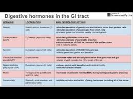 digestive hormones of the gi tract youtube