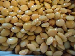Image result for Lens culinaris