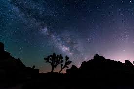 Best campgrounds & rv parks in joshua tree, ca. Joshua Tree Camping Guide For Desert Adventurers