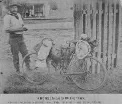 Pin By Meg Jones On For The Love Of Art Bicycle Bike Photo Riding
