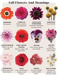 Fall Flowers And Their Meanings Fall Flowers Types Of Flowers Flowers