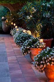 Provence Wedding By One And Only Paris Photography Plants Garden Containers Container Gardening